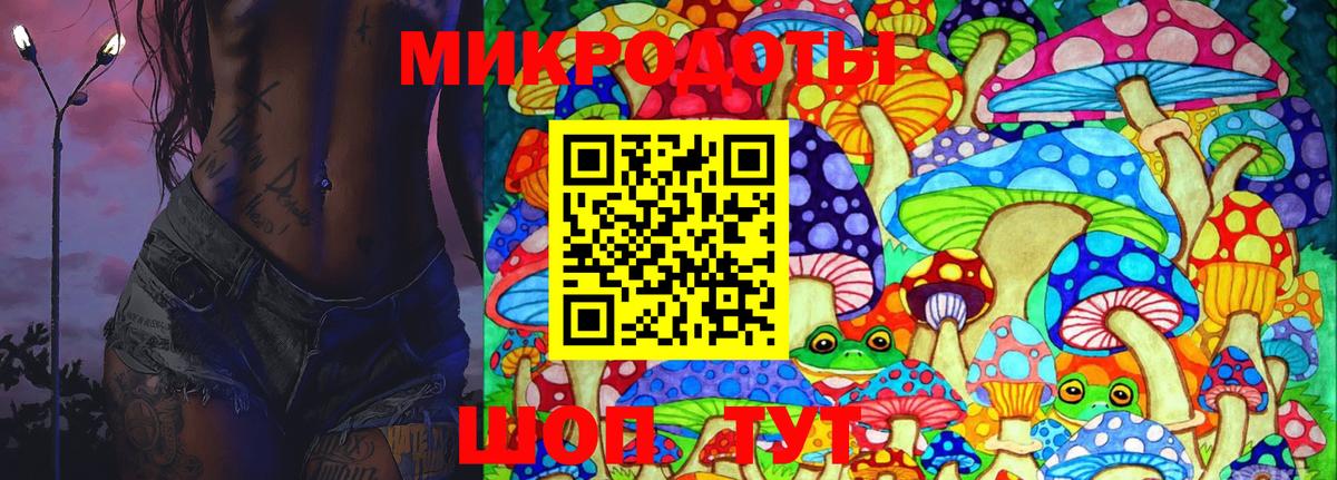 Галлюциногенные грибы Psilocybine cubensis Нарьян-Мар