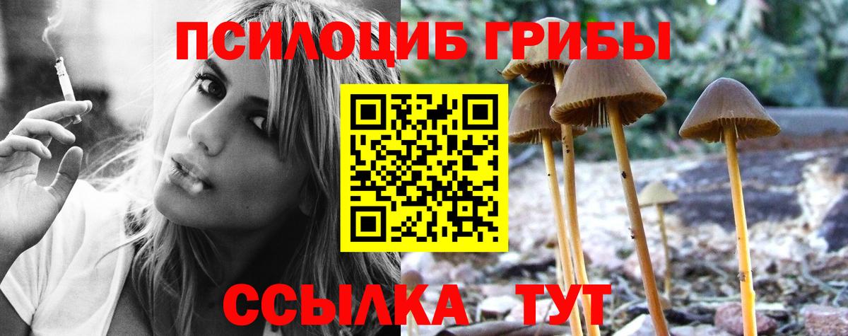 Псилоцибиновые грибы мицелий  Вход с VPN  Псилоцибиновые грибы GOLDEN TEACHER  Нарьян-Мар 